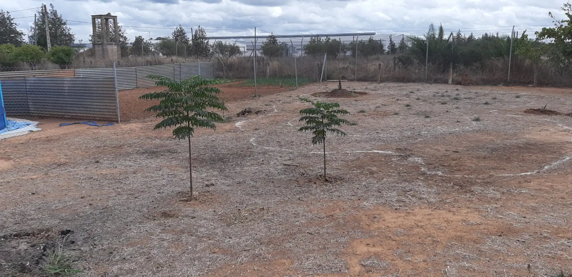Finca rústica en venda en Aznalcázar
