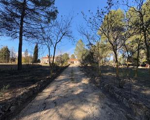 Vista exterior de Casa o xalet en venda en Almansa amb Jardí privat i Piscina