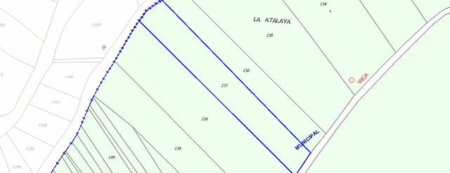 Finca rústica en Venta en El Molar (Madrid)