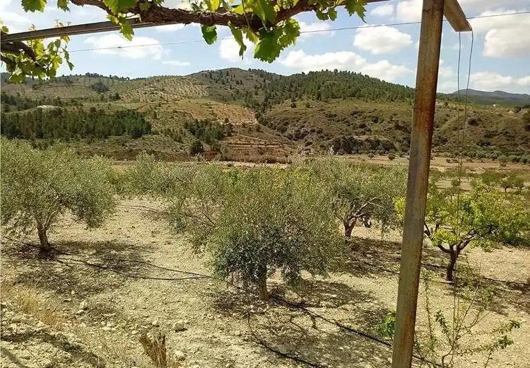 Casa rústica con jardín en venta en Pedanías Norte, imagen 6