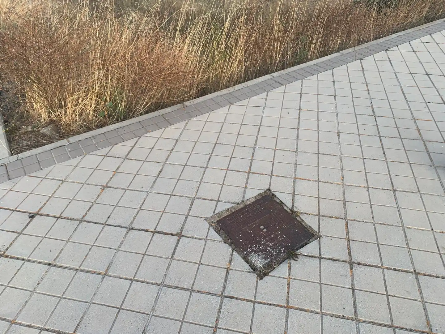 Terreni e lotti in vendita a Sónsoles, imagen 14