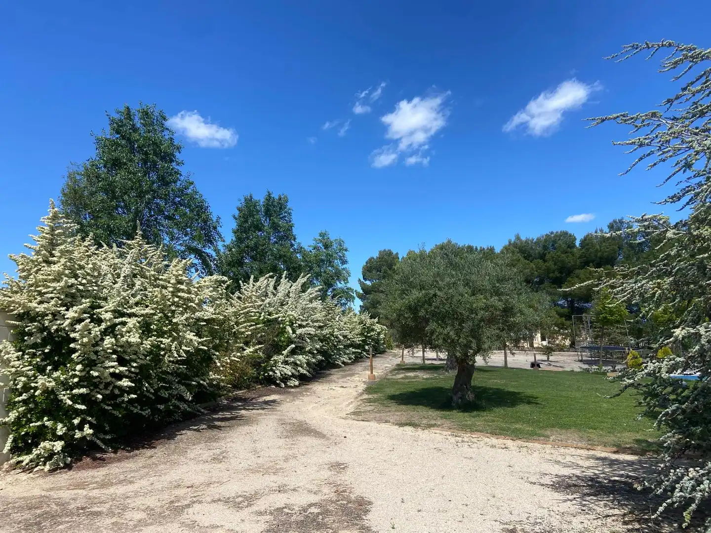 Casa o chalet en venta en Almansa con Calefacción, Jardín privado y Piscina