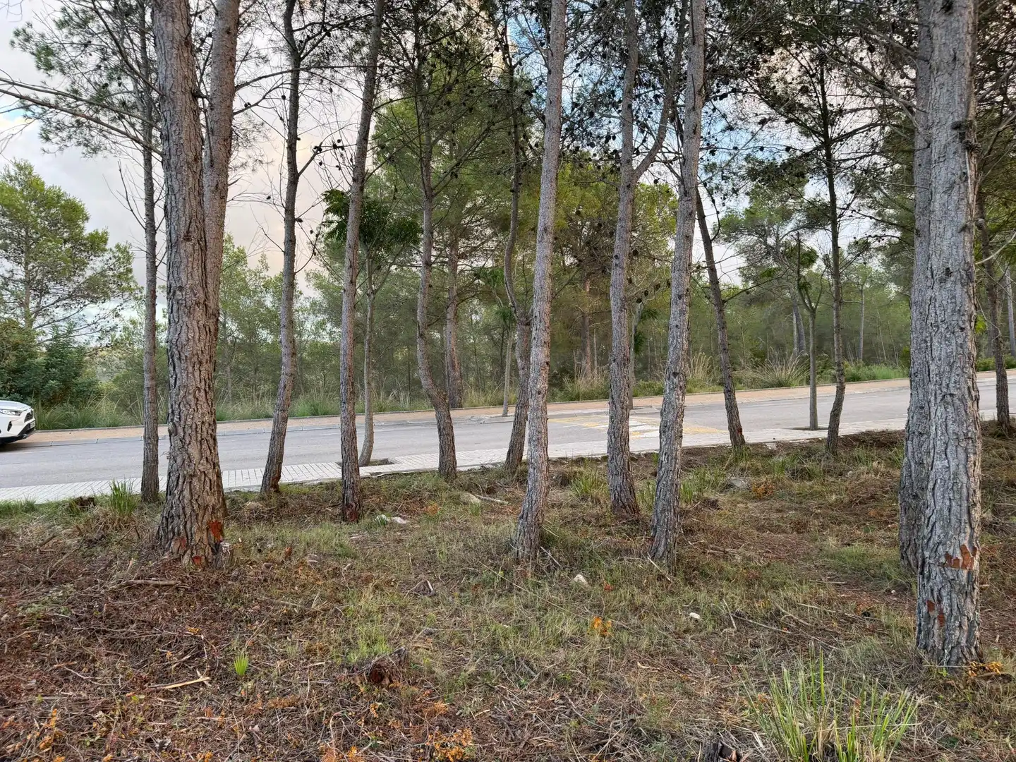 Residencial en venta en Sant Pere de Ribes