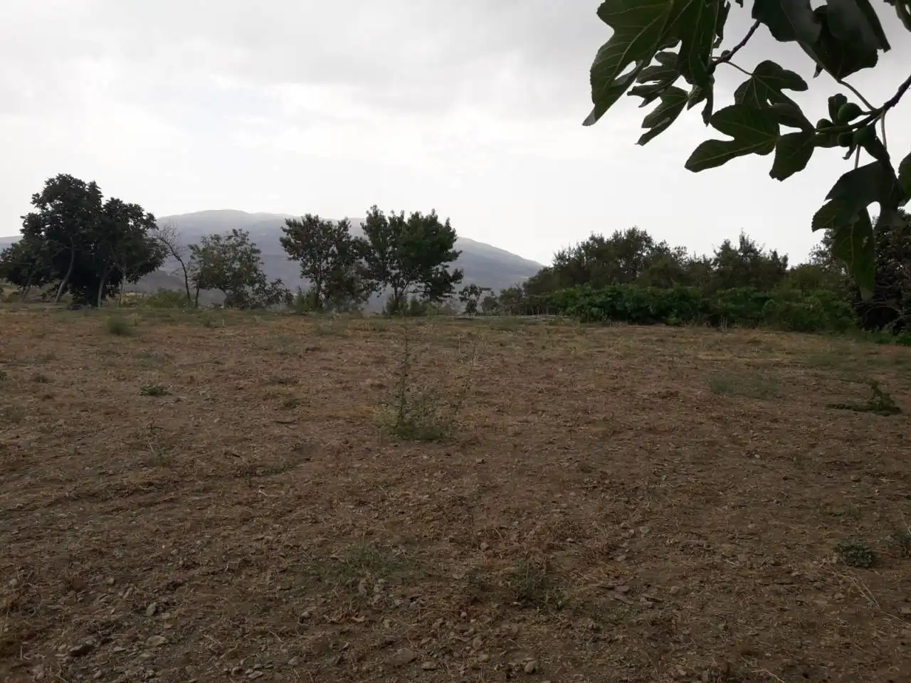 Terreni e lotti in vendita a Nevada, imagen 3