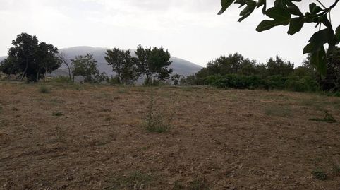 Finca rústica en venta, immagine 3