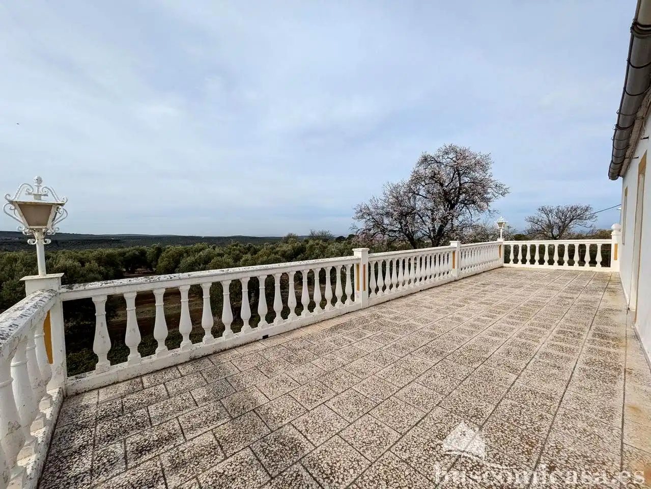Terrassa de Finca rústica en venda en Baeza amb Jardí privat, Terrassa i Traster