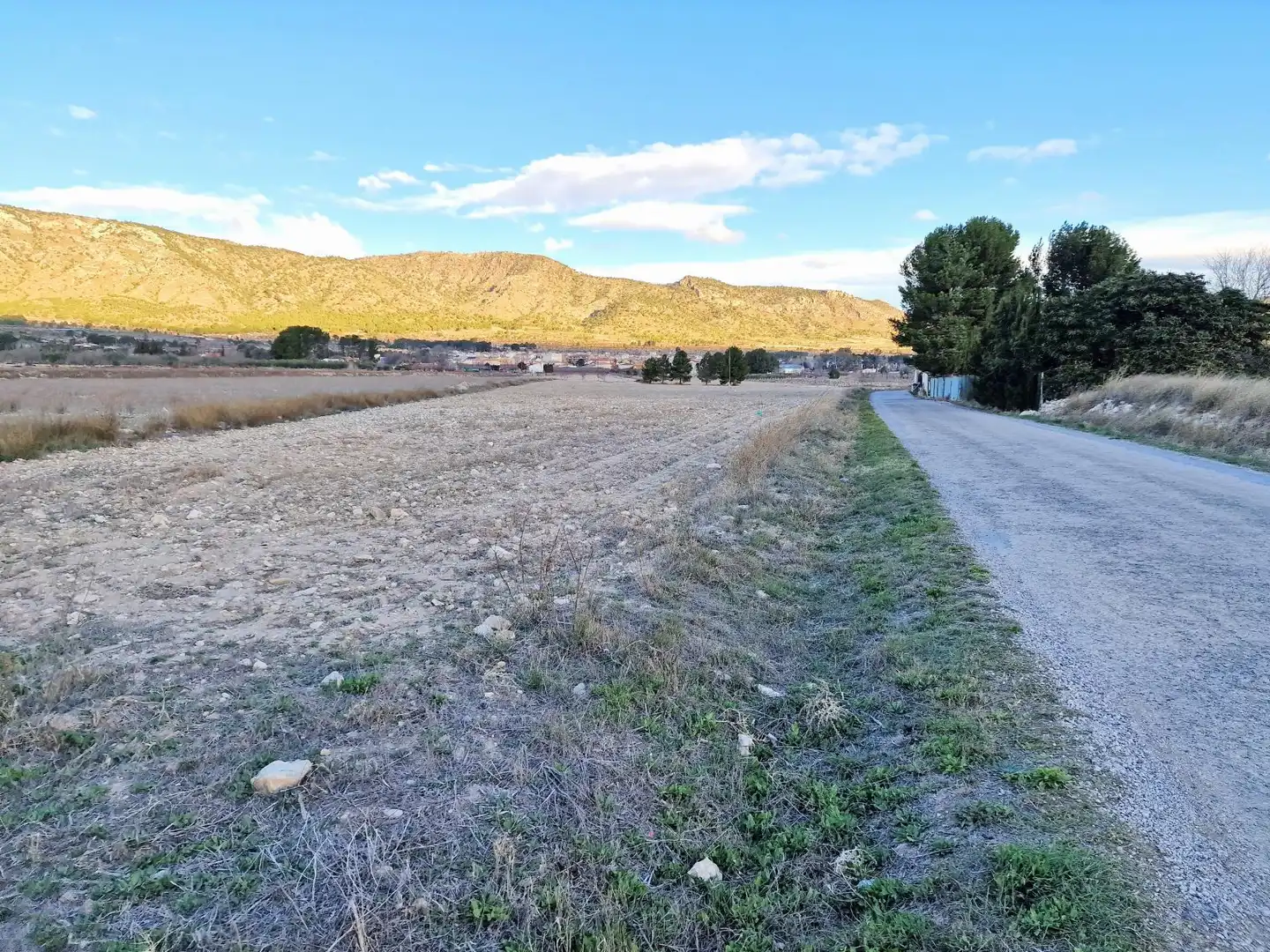 Terreni e lotti in vendita a Monóvar  / Monòver, imagen 9