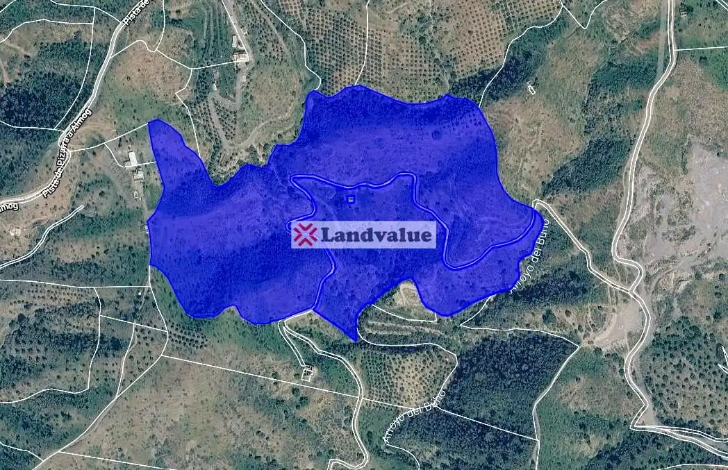 Terreny rústic en venda a Polígono 10, Parcelas 10 y 55