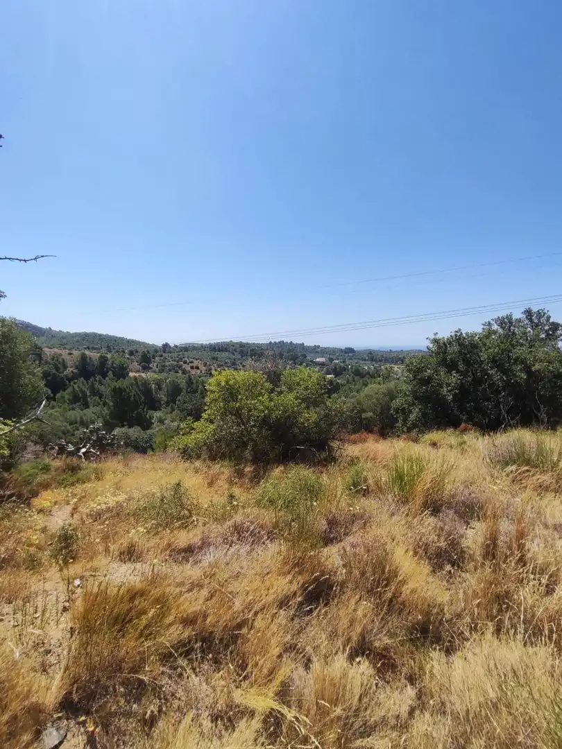 Terreny residencial en venda a T-704 2, imagen 4