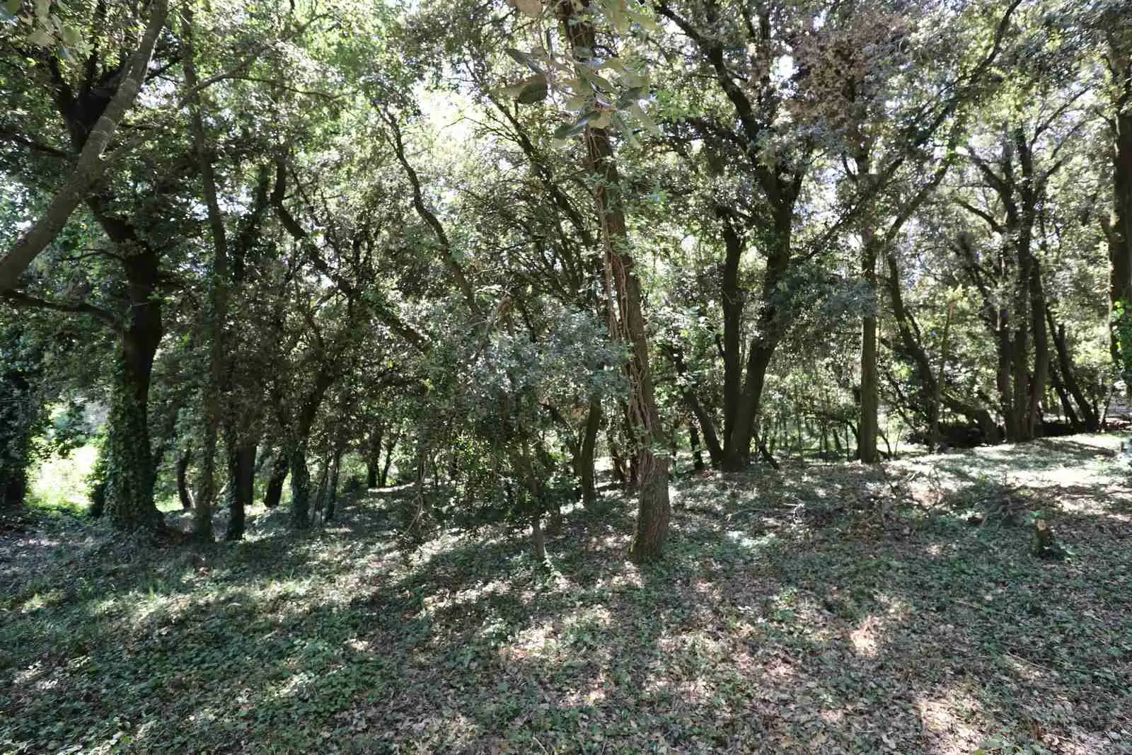 Residential land for sale in Carrer la Caseta 2, imagen 3