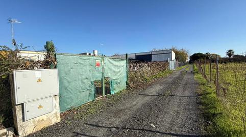 Foto 5 de Finca rústica en venta en Parcela el Reondón, Arahal, Sevilla