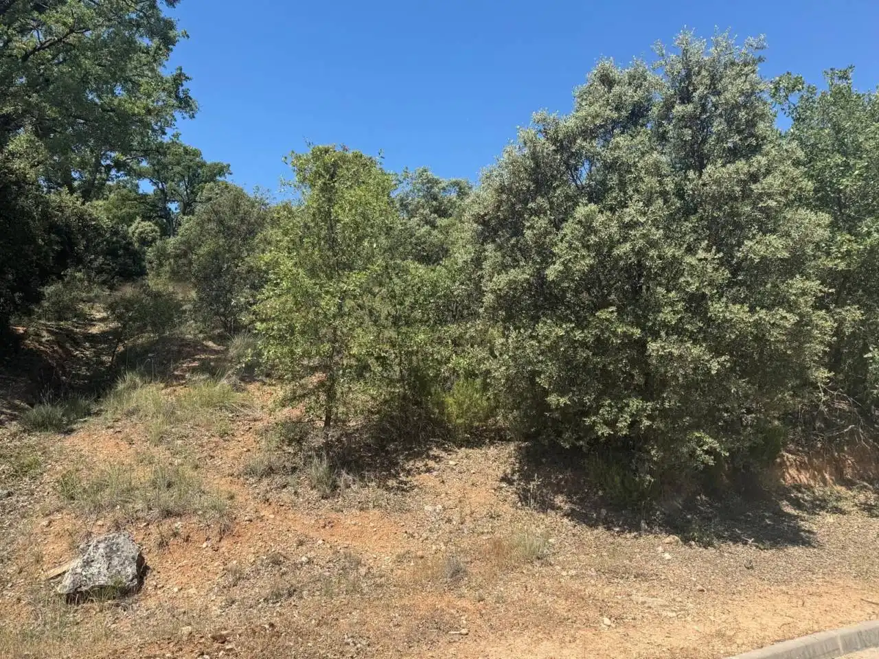 Terrenos y solares en venta en Camino Palmeras, imagen 12