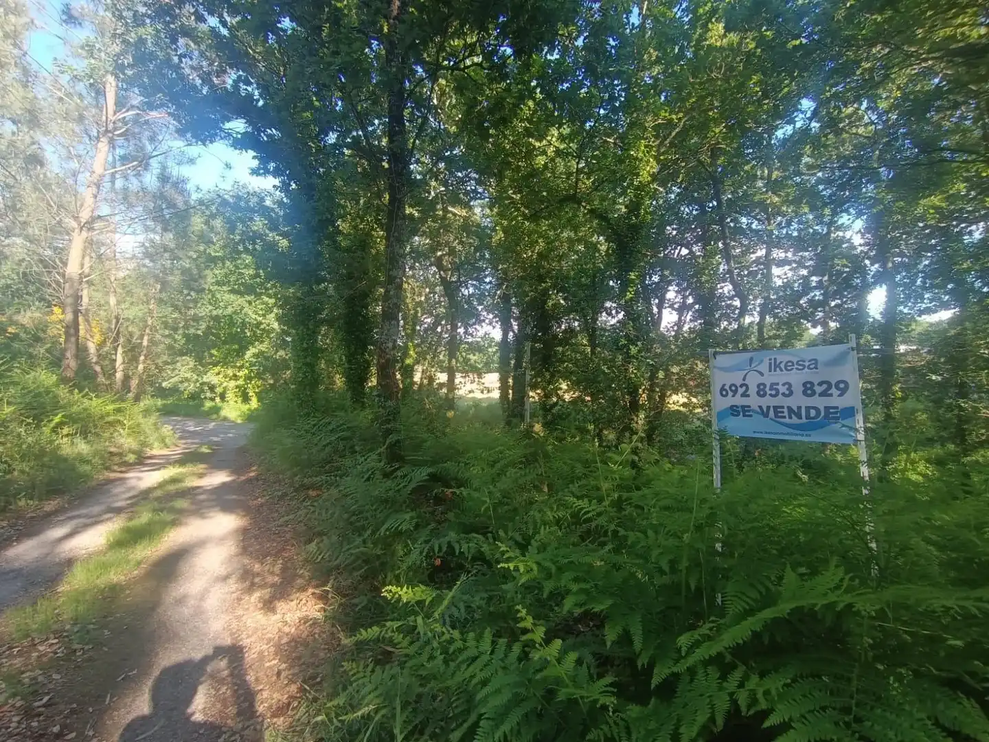 Terreno en venta en Tomiño