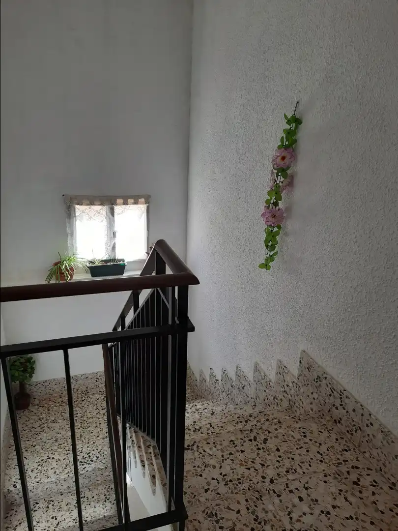 Buildings for sale in Ricla