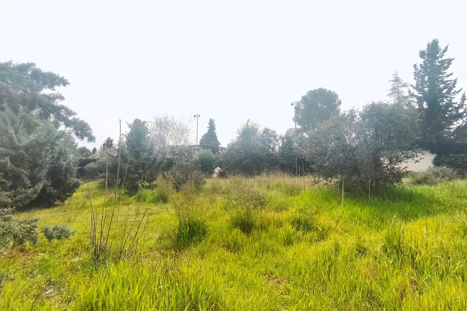 Terreno residencial en venta en Parque del Cubillas, imagen 16