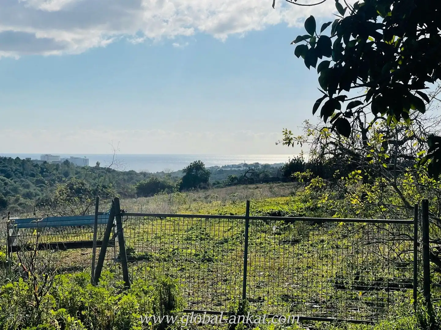 Finca rústica en venta en Manacor