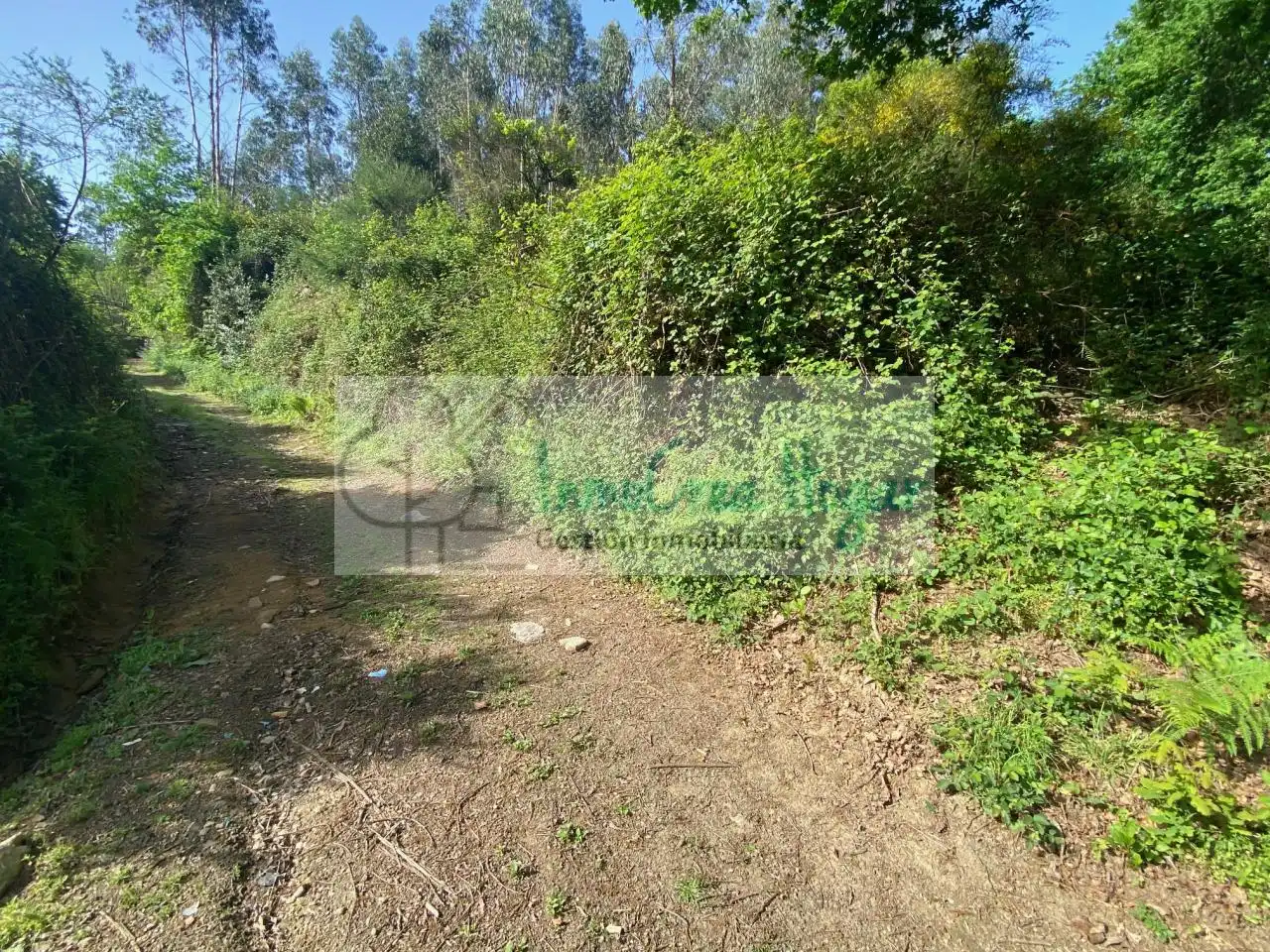 Terreny rústic en venda a Salvaterra de Miño, imagen 21