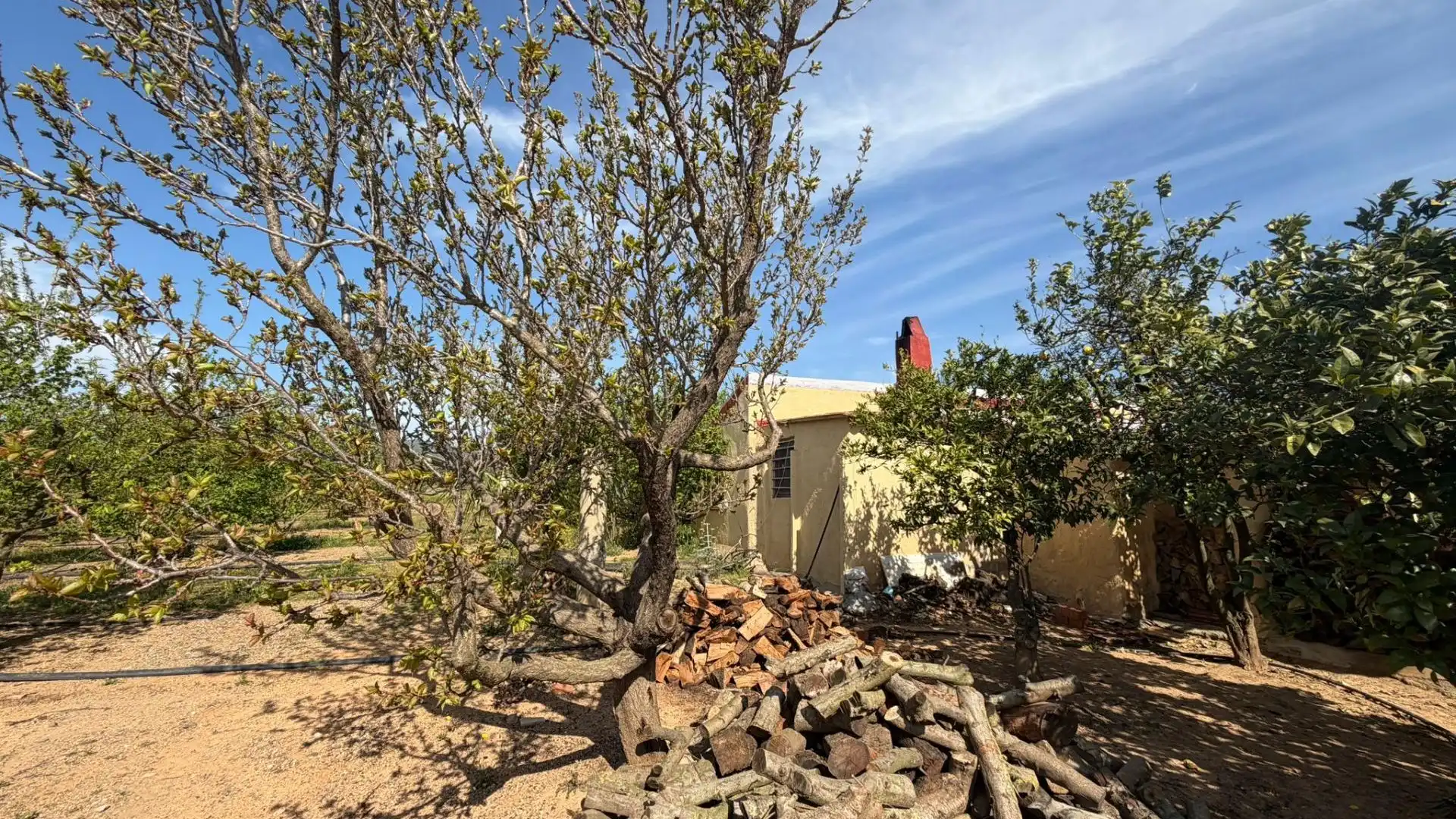 Finca rústica en venta