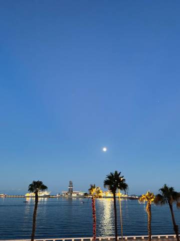 Piso en Venta en Ciudad Jardín