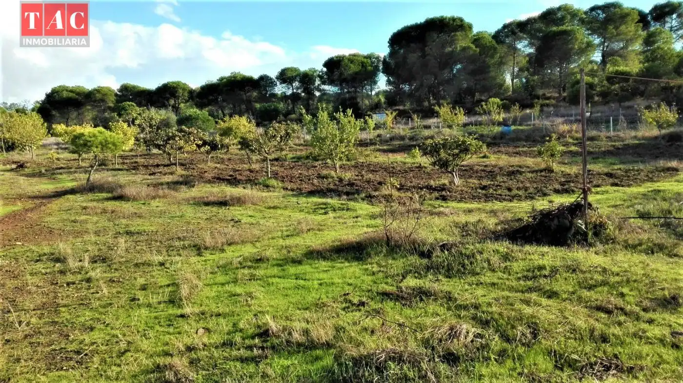 Casa rústica amb jardí en venda a Lepe, imagen 6