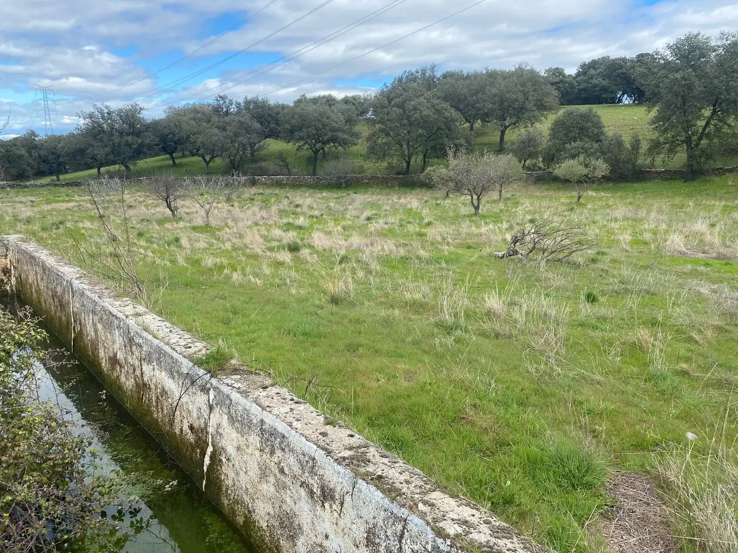 Terreny en venda en Mohedas de la Jara