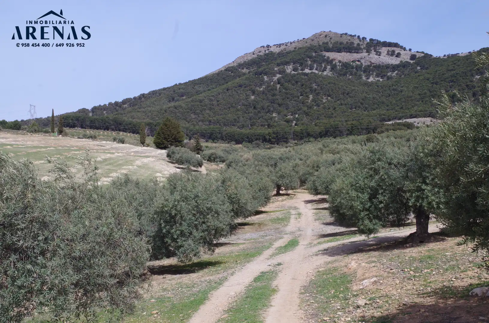 Residential land for sale in Carretera de Íllora