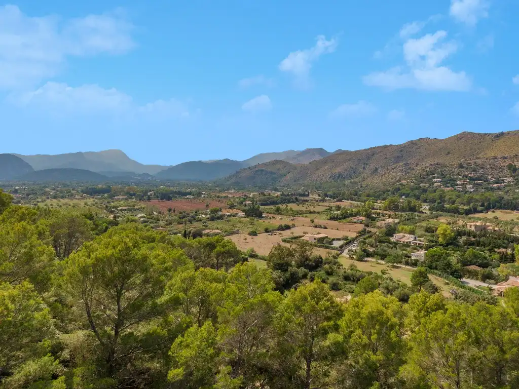 Terrain rustique à vendre à Pollença Poble, imagen 9
