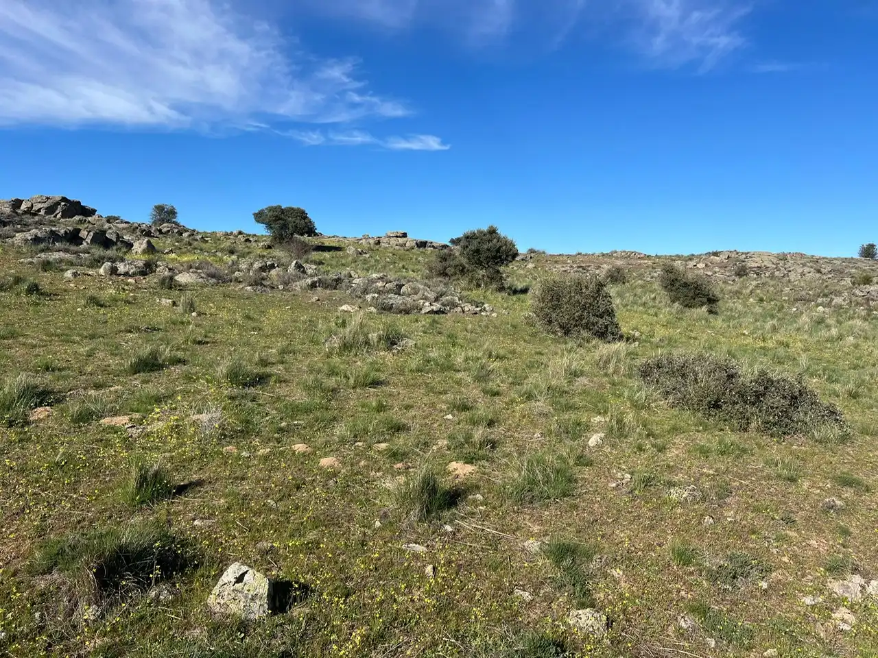 Terreni e lotti in vendita a Tornadizos de Ávila, imagen 22