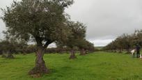 Finca rústica en venda en Torremocha