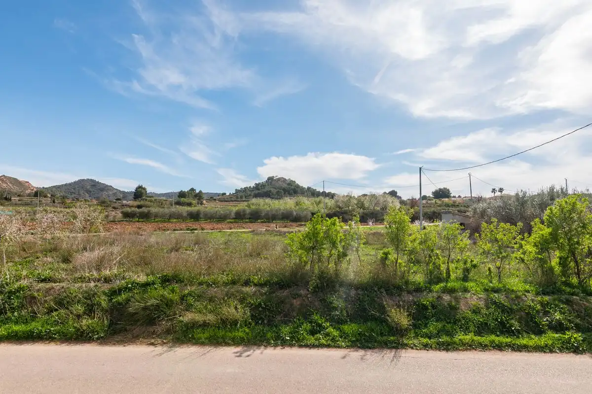Finca rústica en venta en Pliego