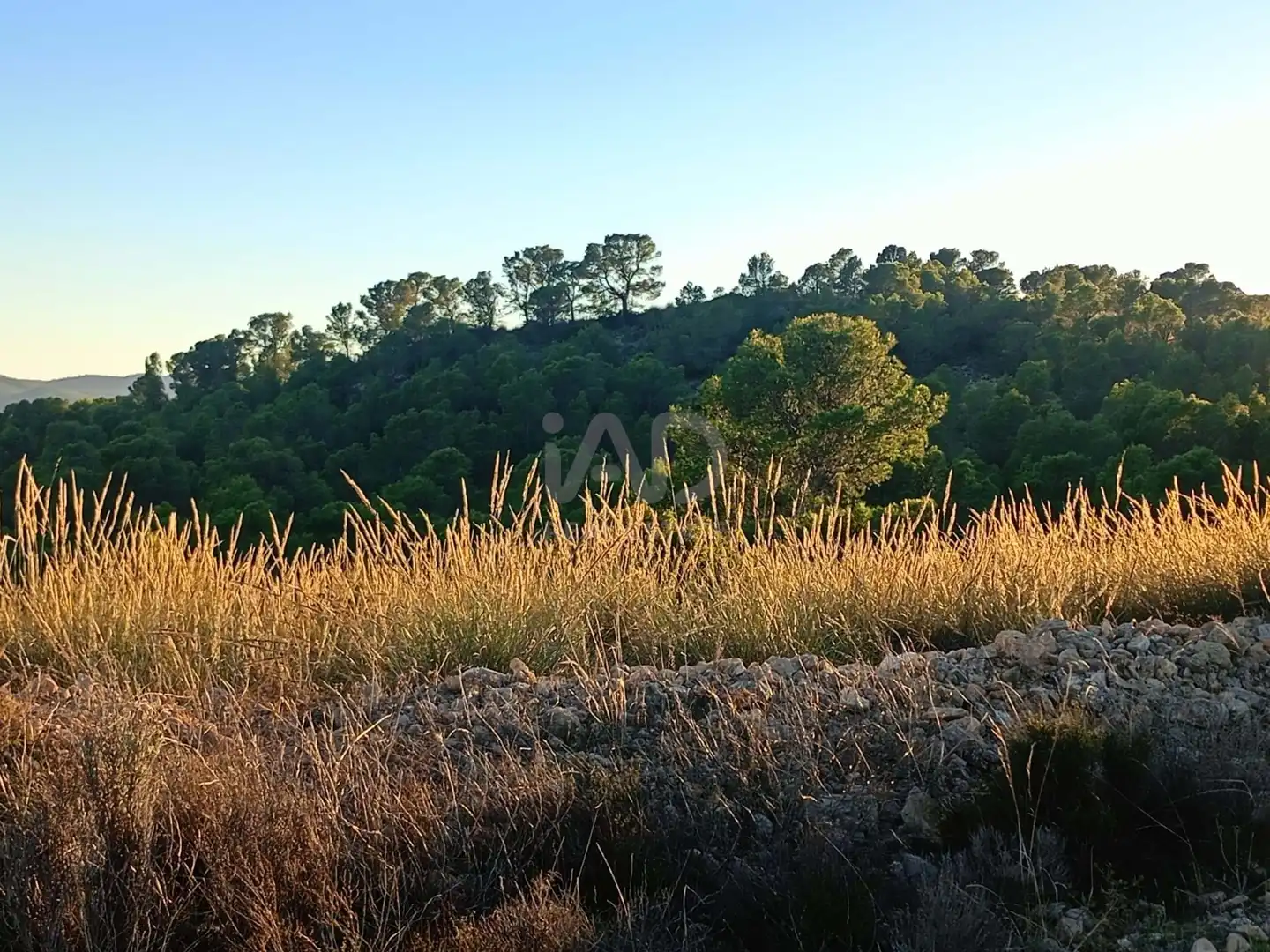 Terreno en venta en Lorca