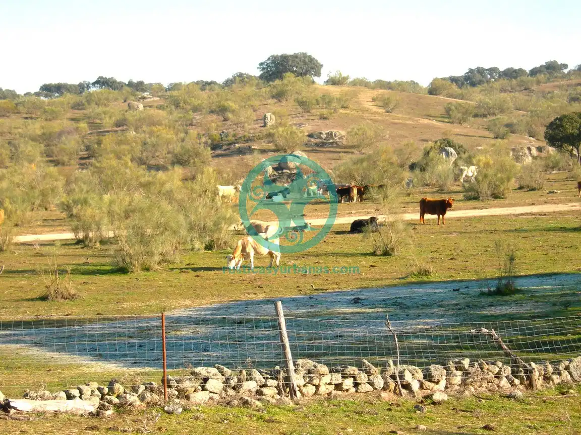 Vista exterior de Terreno en venta en Mata de Alcántara