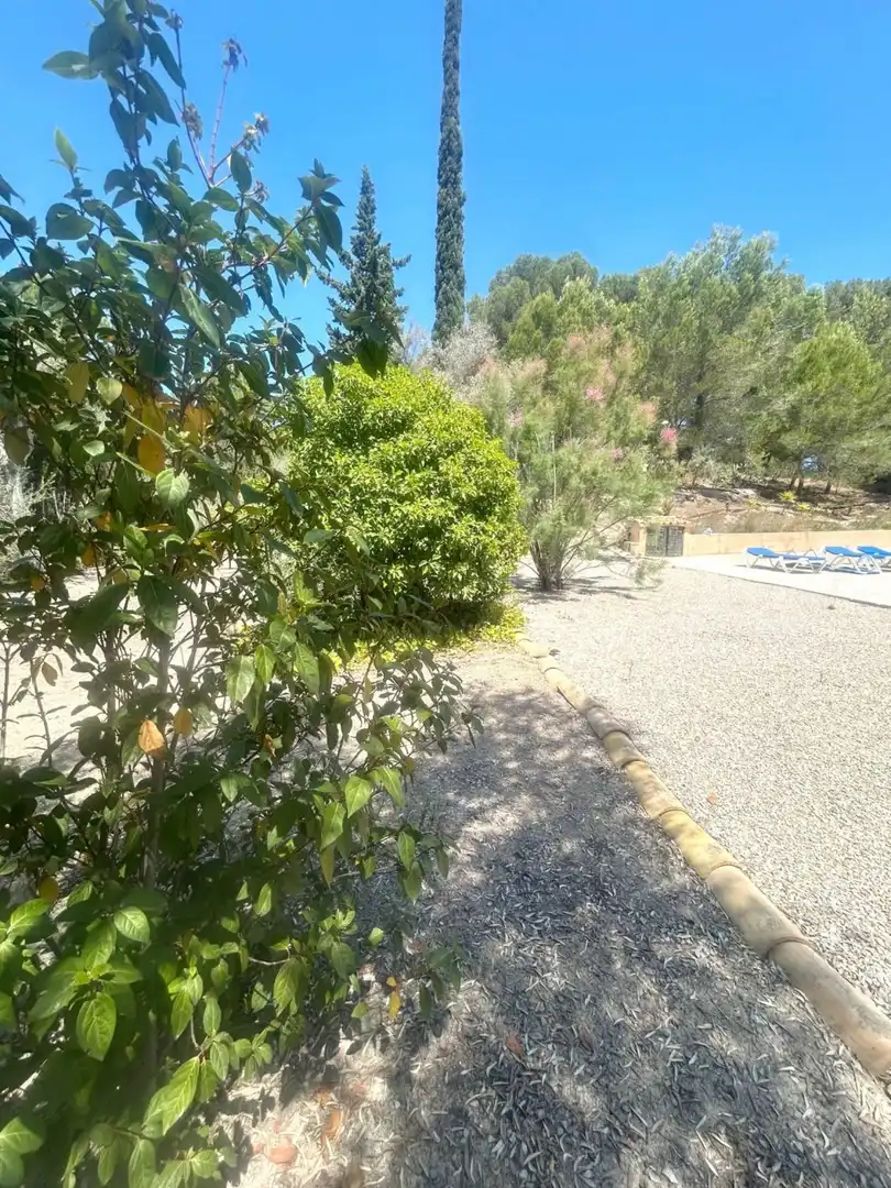 Houses for sale in Calvià