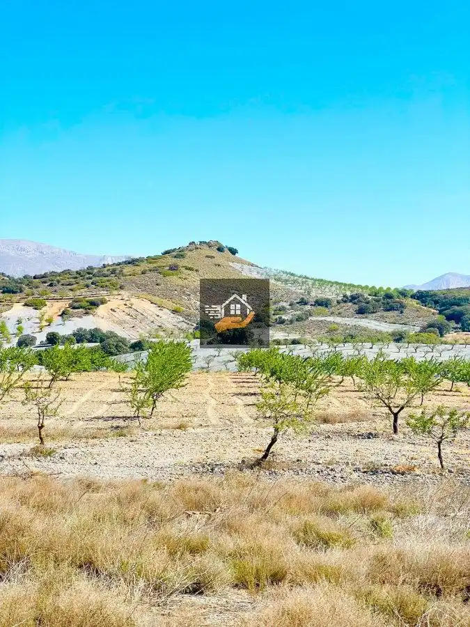 Finca rústica en venda en Chirivel