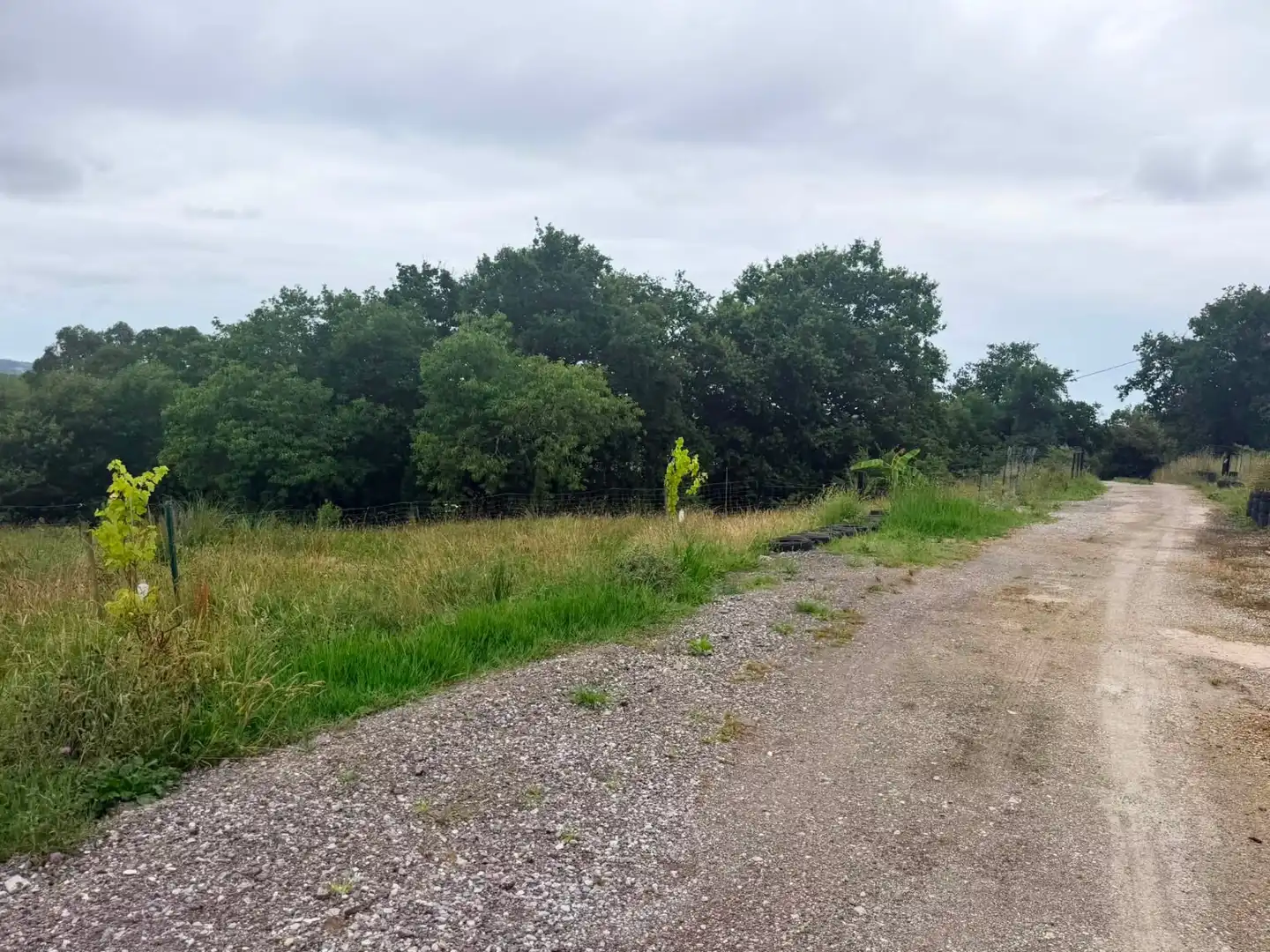 Casa o xalet en venda en Cartes amb Aire condicionat, Calefacció i Jardí privat