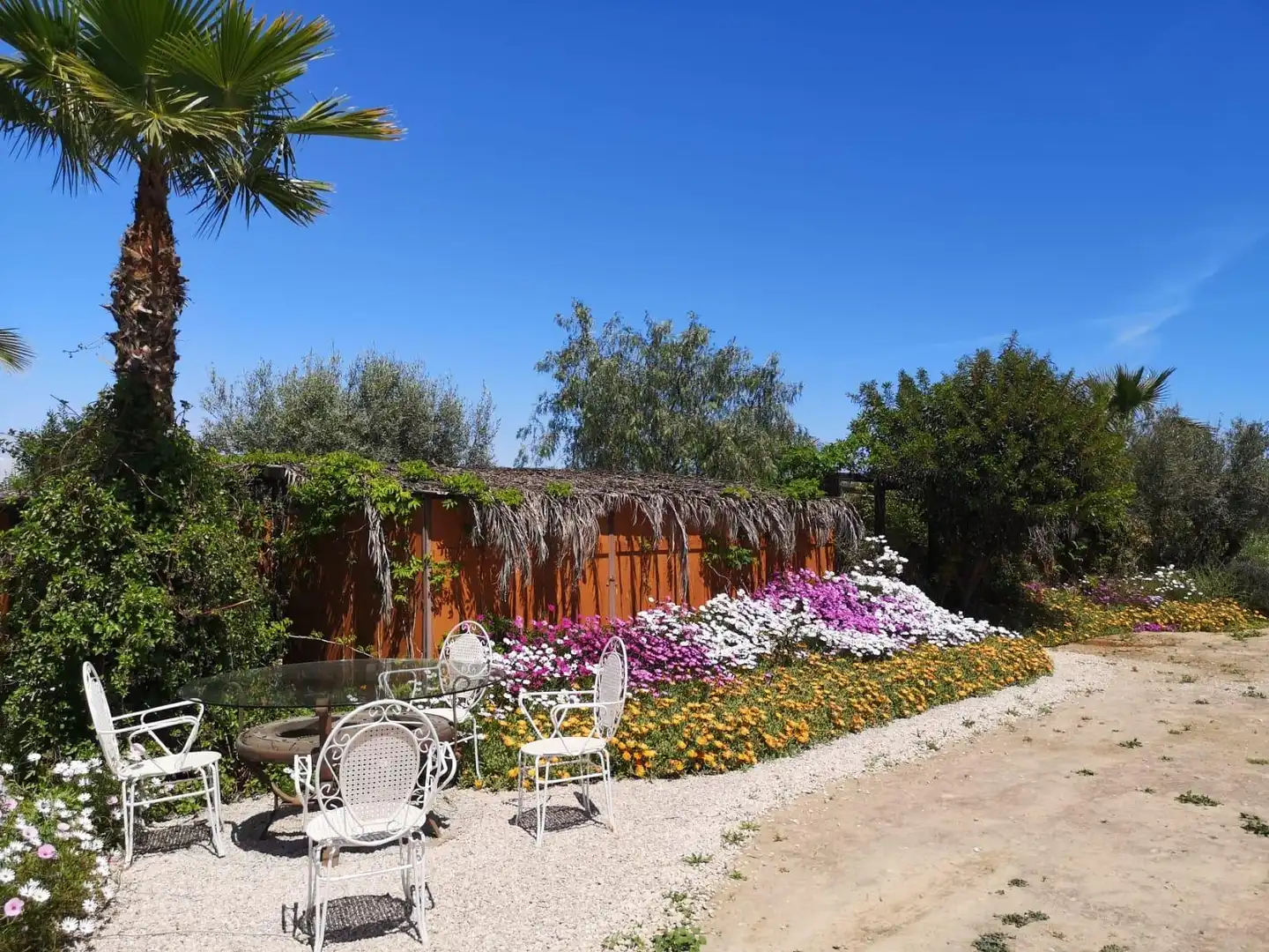 Jardí de Finca rústica en venda en Elche / Elx amb Aire condicionat, Calefacció i Jardí privat