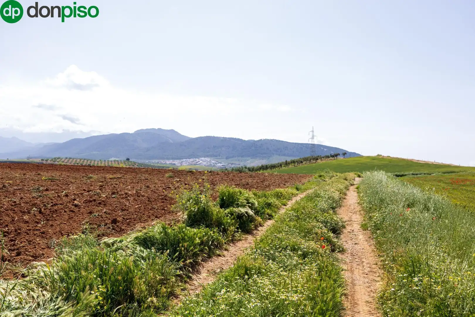 Lands and plots for sale in Otura 6, imagen 19