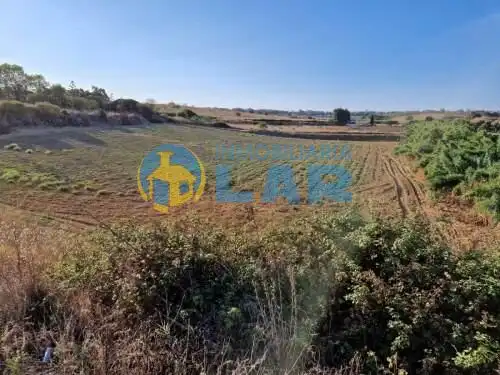 Terreno rustico in vendita a Moguer, imagen 4