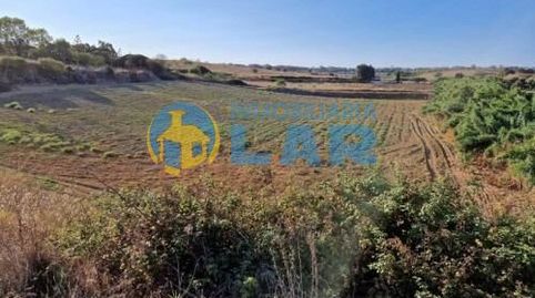 Finca Rústica entre Moguer y Palos, immagine 4