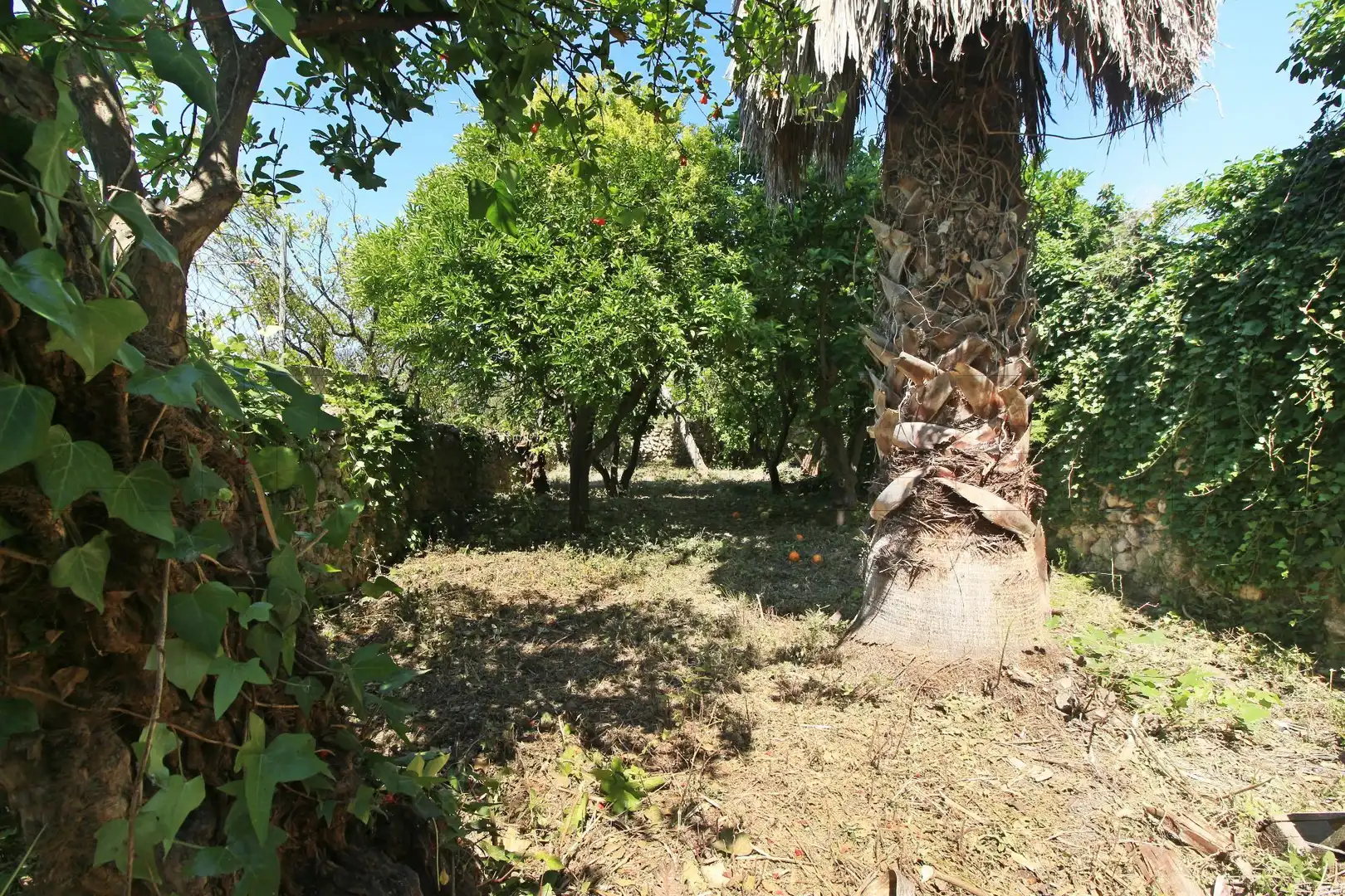 Casa amb jardí en venda a Campanet, imagen 4