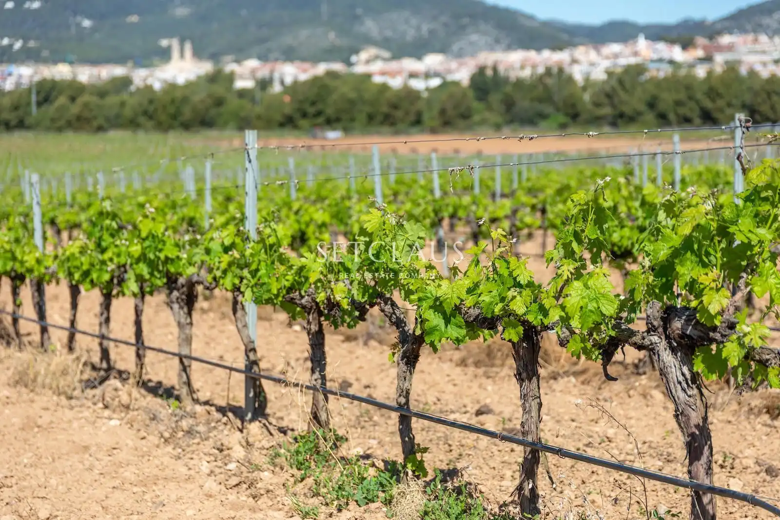 Vista exterior de Casa o xalet en venda en Sant Pere de Ribes amb Aire condicionat, Calefacció i Terrassa
