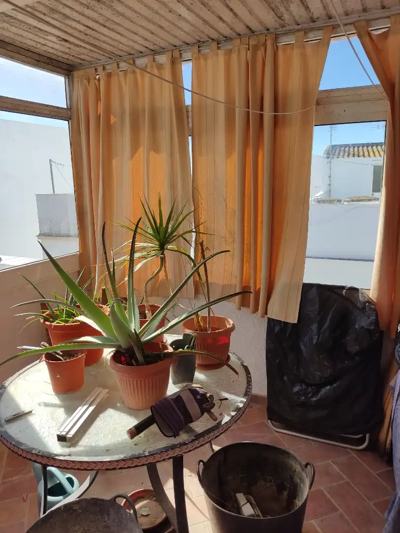 Terrasse von Einfamilien-Reihenhaus zum Verkauf in Barbate mit Klimaanlage, Heizung und Terrasse