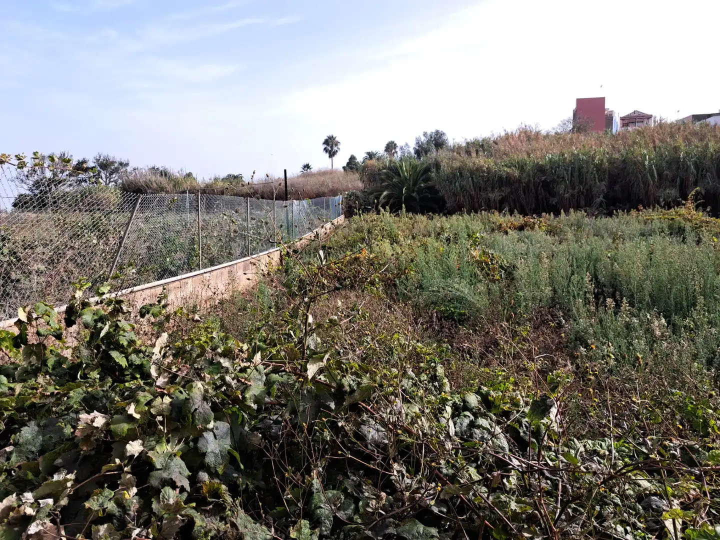 Rural land for sale in Tacoronte - Los Naranjeros, imagen 3