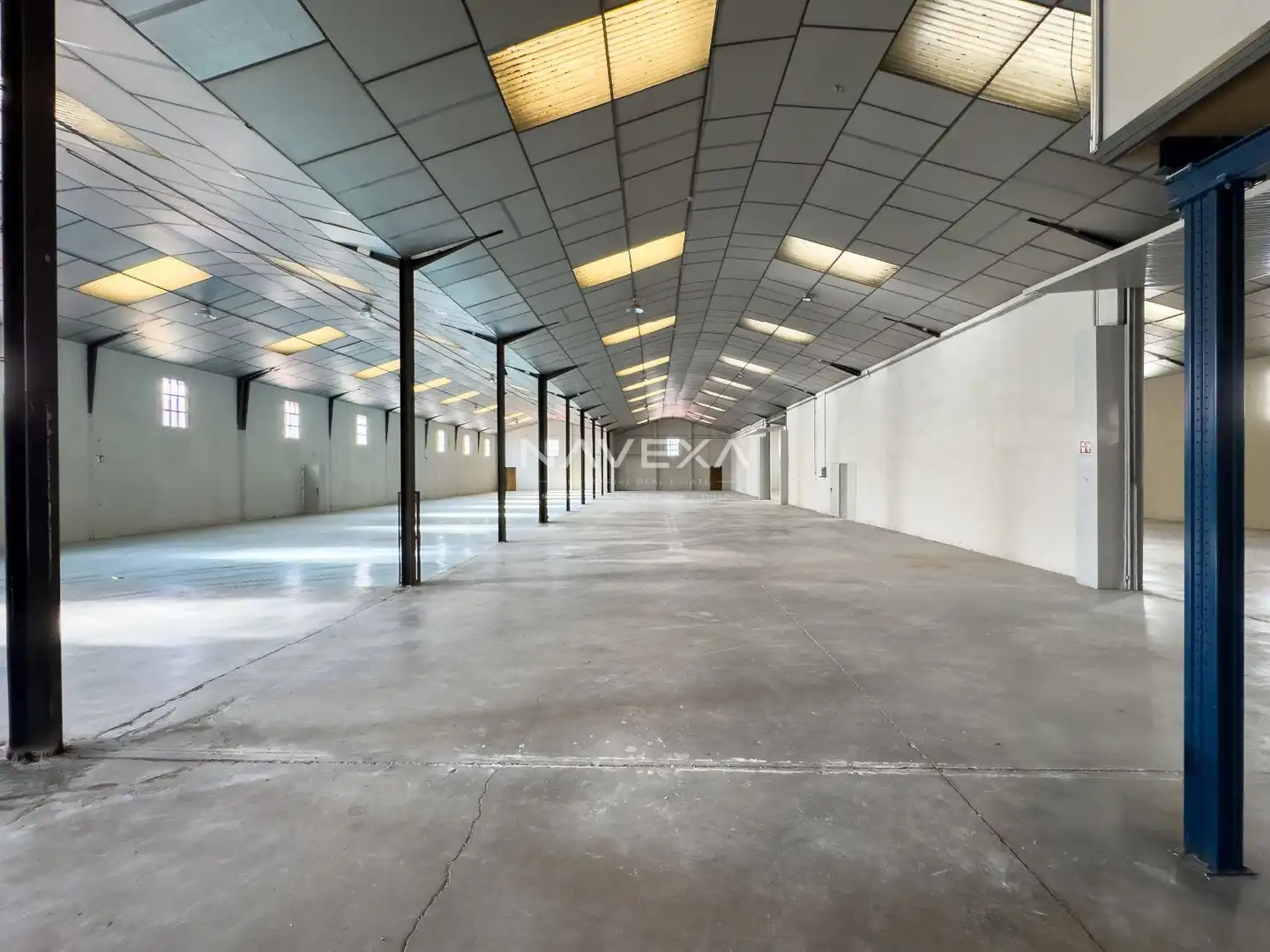 Industrial buildings for rent in Pinto