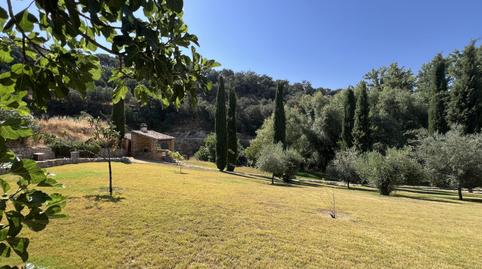Foto 2 de Finca rústica en venda a Setenil de las Bodegas, Cádiz