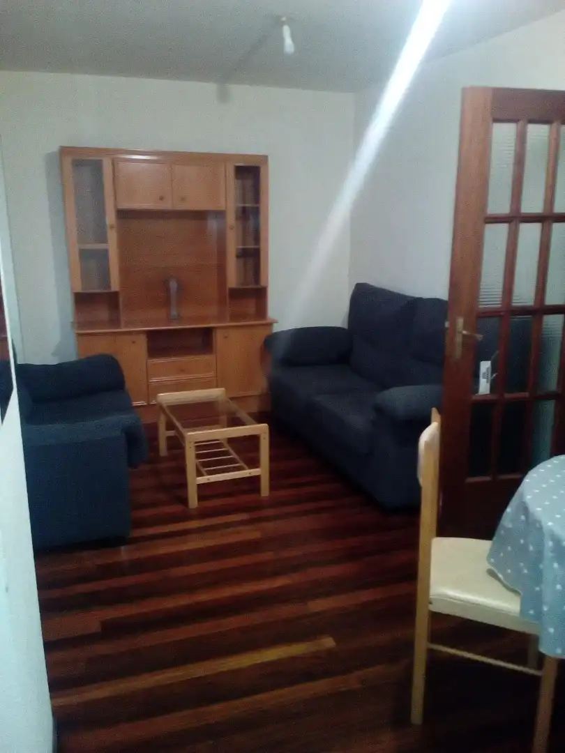 Sala de estar de Piso de alquiler en Santiago de Compostela  con Calefacción, Parquet y Amueblado