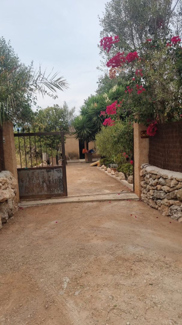 Garden of Land for sale in Sencelles