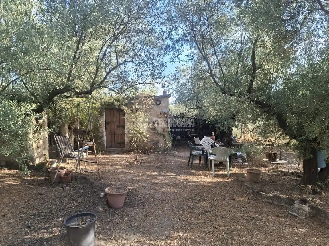 Jardí de Terreny en venda en Montilla, Córdoba