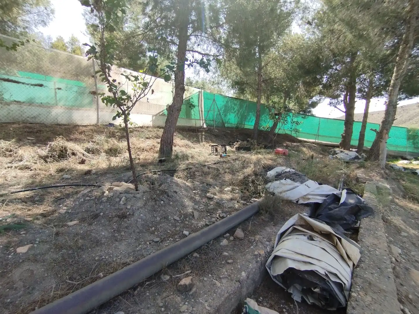 Terreno rustico in vendita a Santa Fe de Mondújar, imagen 42