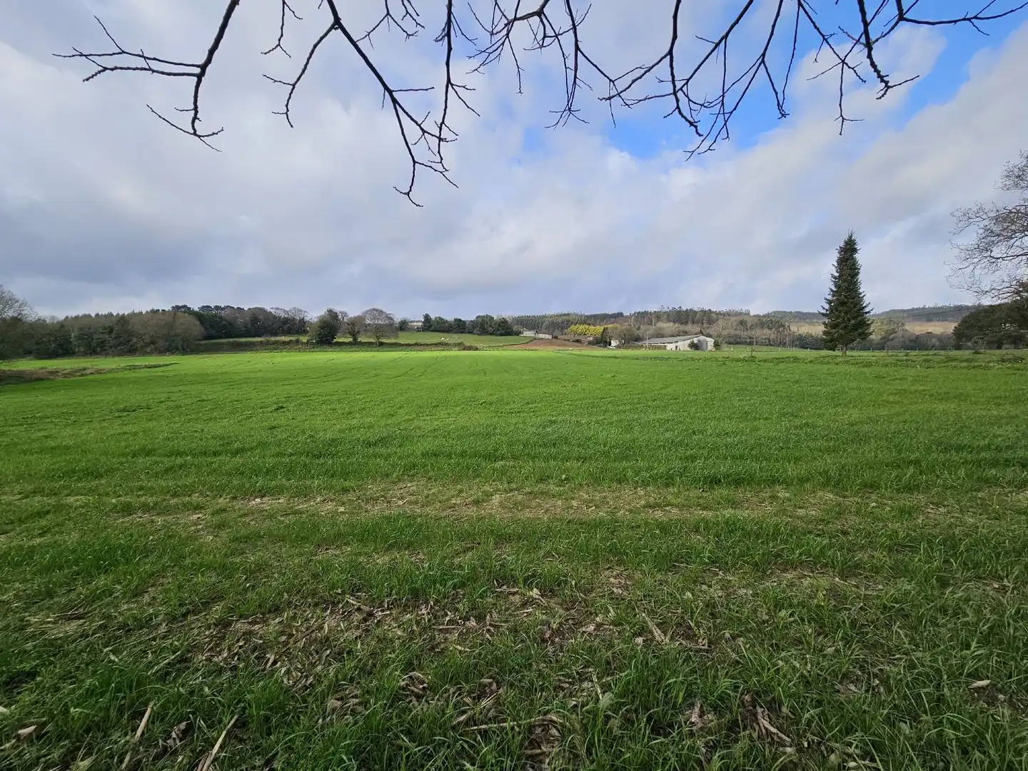 Finca rústica en venta en Abegondo